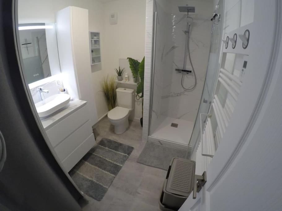 Appartement T3 Proche De Сомюр Экстерьер фото